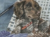 Charley