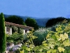House in sunny Provence